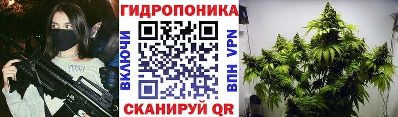 Шишки марихуана Ganja  Аркадак 
